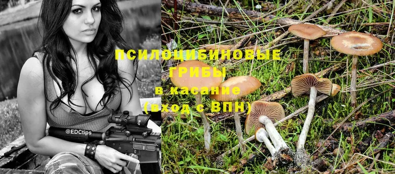 Галлюциногенные грибы MAGIC MUSHROOMS Калининец